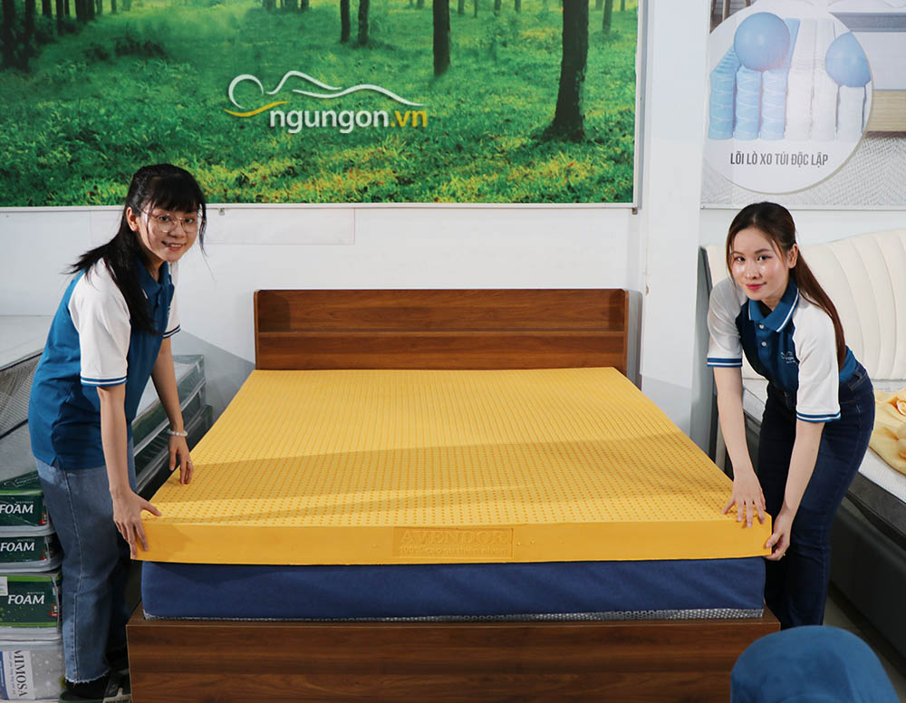 Nệm cao su thiên nhiên Avendor